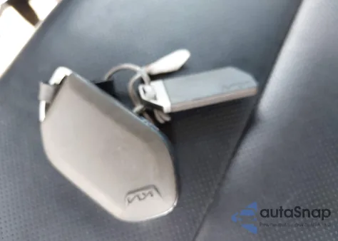 2024 Kia Telluride S from USA, damaged, VIN 5XYP64GC7RG418230